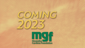 COMING 2023